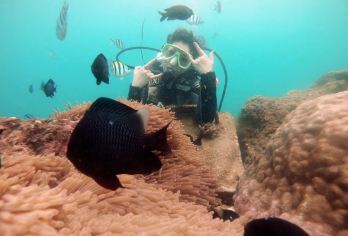 中国海南三亚百福岛一日游【同业】【2021打卡网红海岛，百福岛，纯玩一价全包，绝无二次消费】