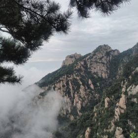 100o070000002c6g86147_C_280_280.jpg