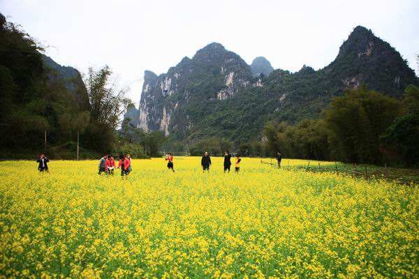 刘家村风景区