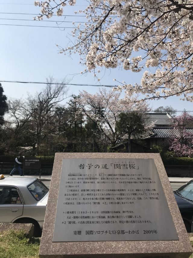 京都白沙村庄攻略 京都白沙村庄门票 攻略 地址 图片 门票价格 携程攻略