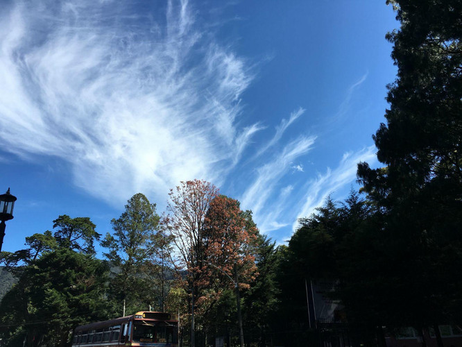 哐哧哐哧Sri Lanka(2) - 游记攻略【携程攻略】