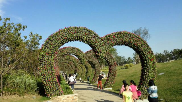 【携程攻略】武汉园博园(自然博物馆)好玩吗,武