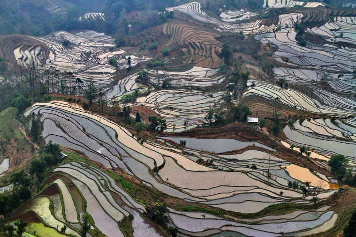 元阳县有多少人口_元阳县地图(3)