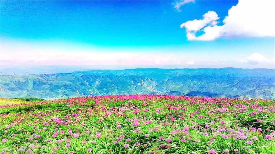 阿西里西韭菜坪