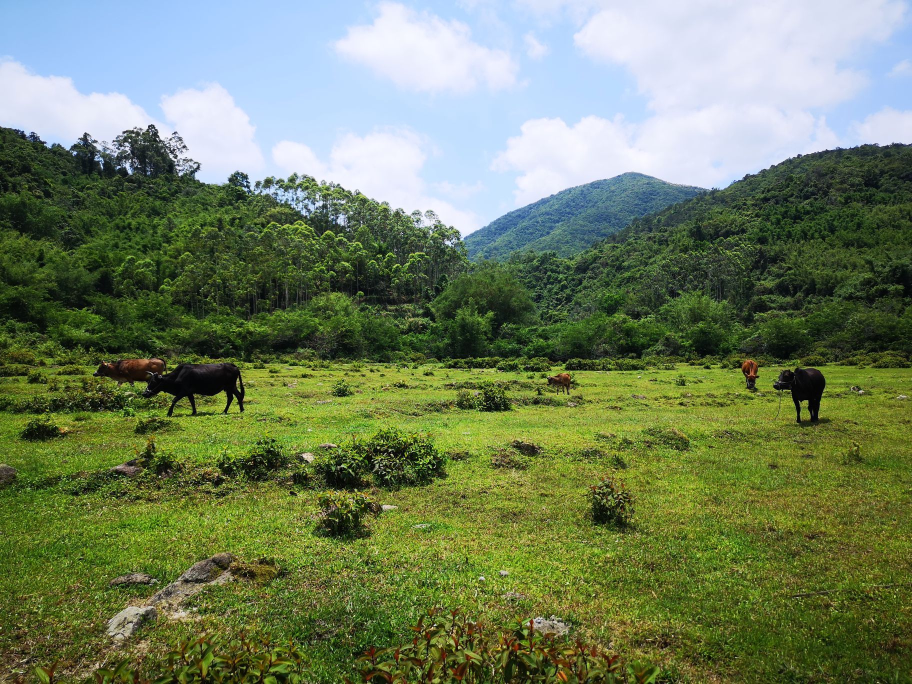 石头村