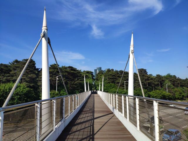 首尔首尔林攻略,首尔首尔林门票/游玩攻略/地址/图片/门票价格【携程