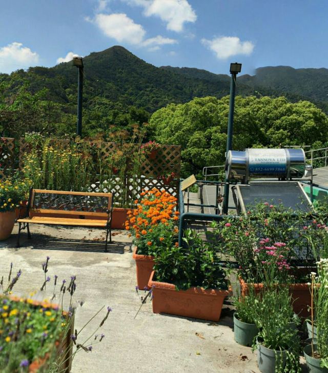 嘉道理农场暨植物园