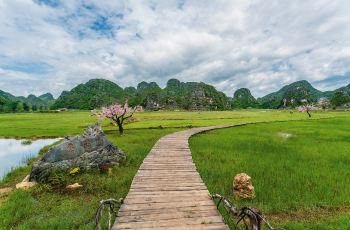 菜花箐苗族生态旅游村