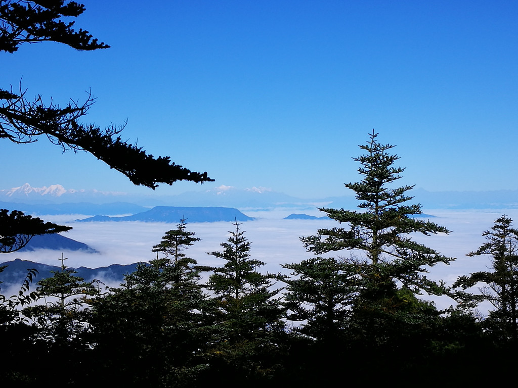 今天,峨眉山金頂的天氣超好,本來以為是小雨的(天氣預報,近段時間都是