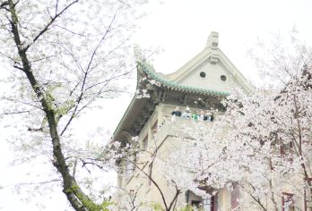 黄鹤楼+辛亥革命博物馆+湖北省博物馆+户部巷一日活动景点任搭 【[特色行程]2个5A景区+1个4A景区一网打尽】