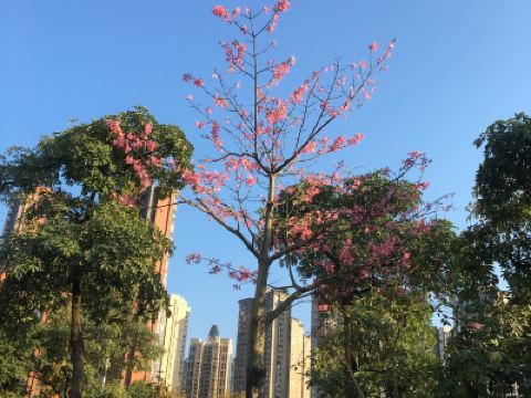 惠州成语公园攻略,惠州成语公园门票/游玩攻略/地址/图片/门票价格