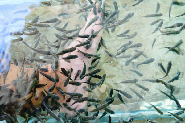 沙滩海风比基尼,难忘的美丽三亚八日游