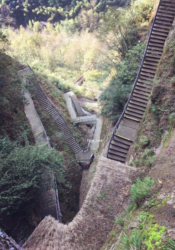 岩主怎么搭_原神古岩龙蜥怎么打(3)