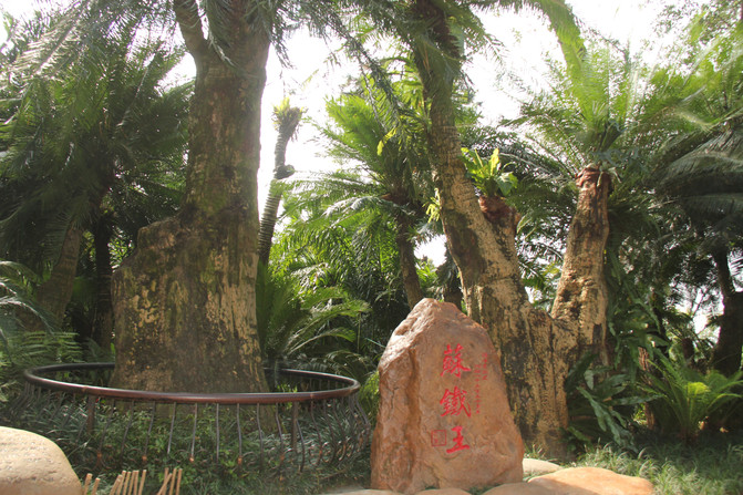 怎么开车去青秀山 100r0g0000007rnl4B4F6_C_671_10000_Q90.jpg