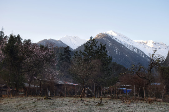 洗尽铅华,赴一趟内心的约定,赶一场桃花的盛宴(可可西里,林芝,波密)