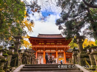 奈良春日大社攻略 奈良春日大社门票 游玩攻略 地址 图片 门票价格 携程攻略