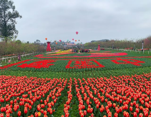 垫江牡丹樱花世界