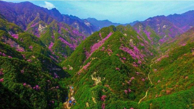 太平国家森林公园