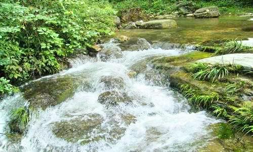 冷水河自然保护区