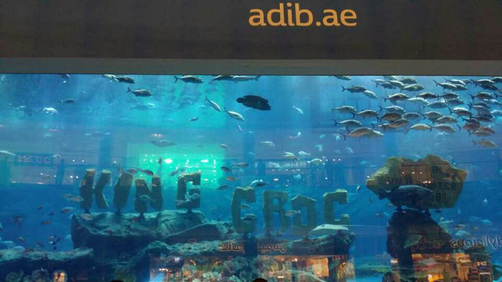 沙漠里最后的绿宝石~迪拜!(2015.4) - 迪拜游记