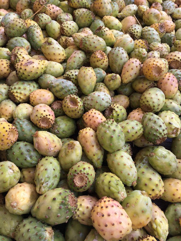 摩洛哥第2-3日游览