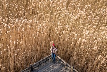 野鸭湖国家湿地公园+永宁古城一日游【柳沟豆腐宴+野鸭湖拍照】【[纯净旅行]保证纯玩无购物，无套路，纯净旅游】
