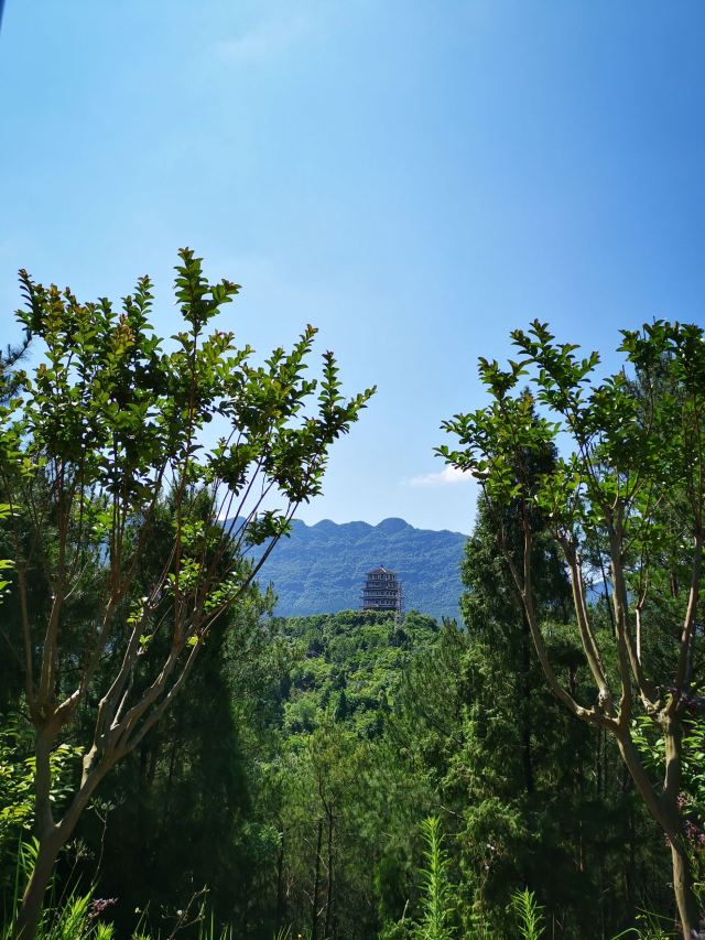 剑阁宝龙寺攻略,剑阁宝龙寺门票/游玩攻略/地址/图片/门票价格【携程