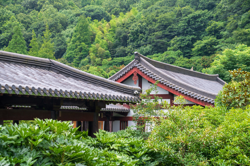 自驾鱼米之乡，浙里有点意思：宁波-舟山-台州-温州