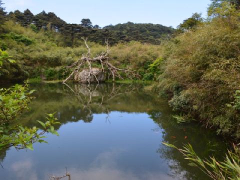 三清山净衣池攻略,三清山净衣池门票/游玩攻略/地址/图片/门票价格