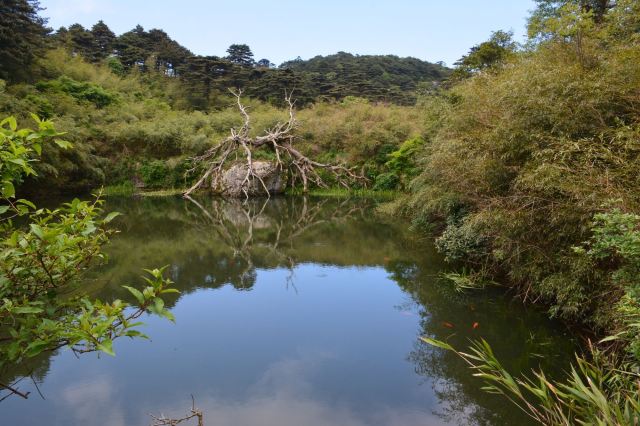 三清山净衣池攻略,三清山净衣池门票/游玩攻略/地址/图片/门票价格
