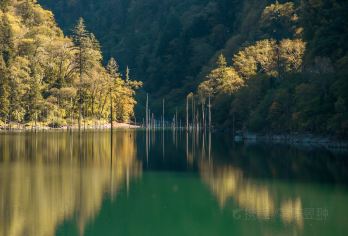 茂县松坪沟风景区一日游包车纯玩三环内包接送【[品质纯玩]包车出行纯玩品质，不进店不购物，无强制消费行程透明！】