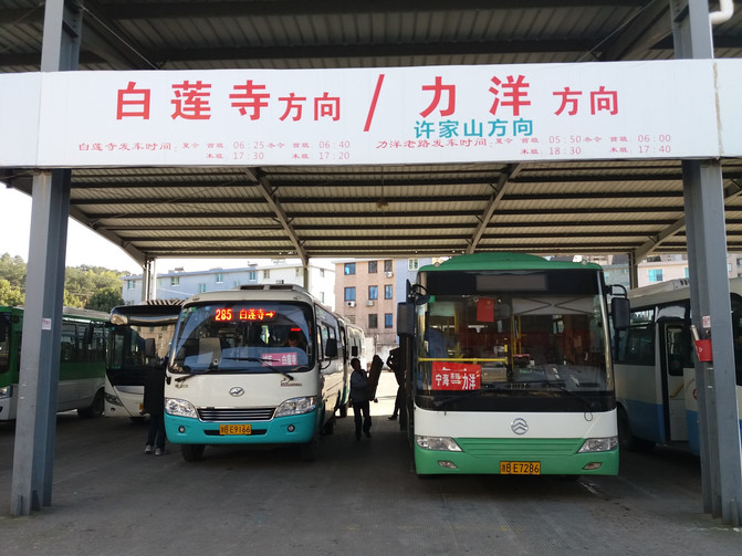 不该忽视的与都市近在咫尺的满目原始,荒野的遗世之美——浙江省宁波