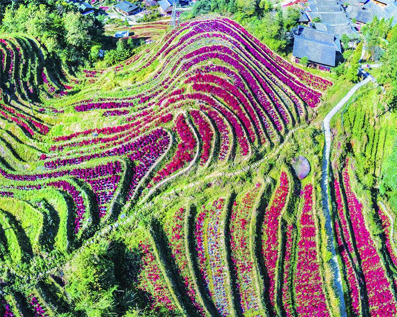 布尼梯田加乌瀑布景区