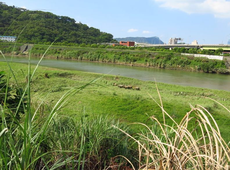 北海岸自行车道
