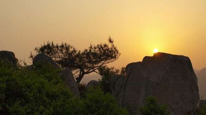 青芝山4（新2016-9-7）