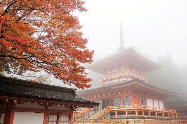 笠置山红叶公园