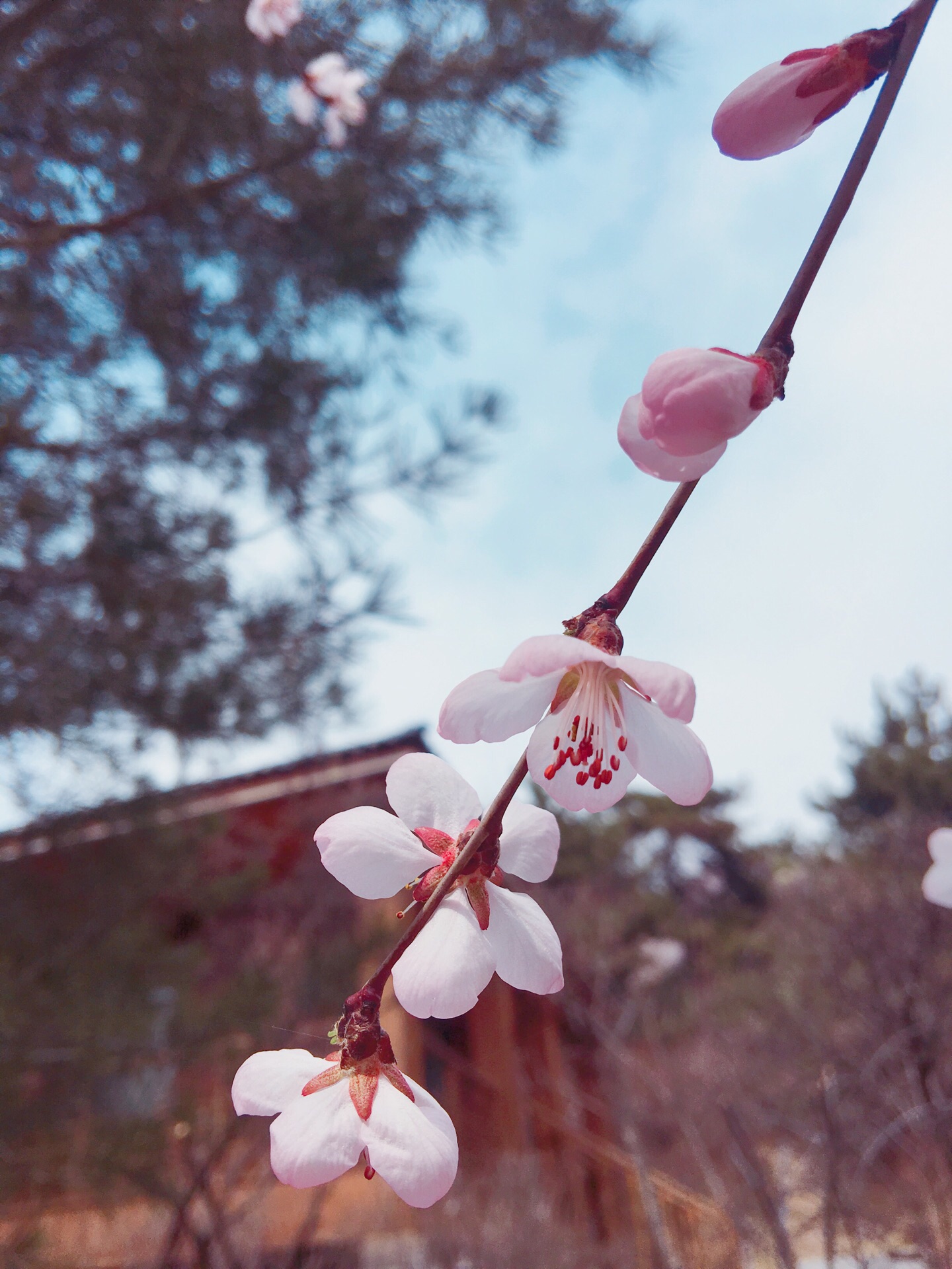 太原杜儿坪桃花沟