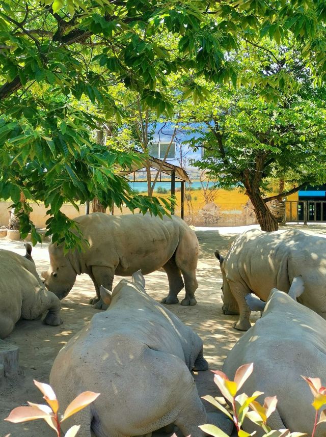 秦嶺野生動物園