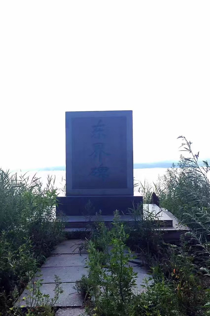 抓吉镇人口_人口普查(3)
