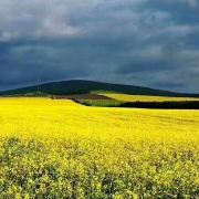 请问六月底北极村和阿里河的气温,穿什么衣服