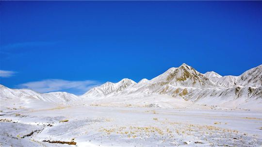 当金山