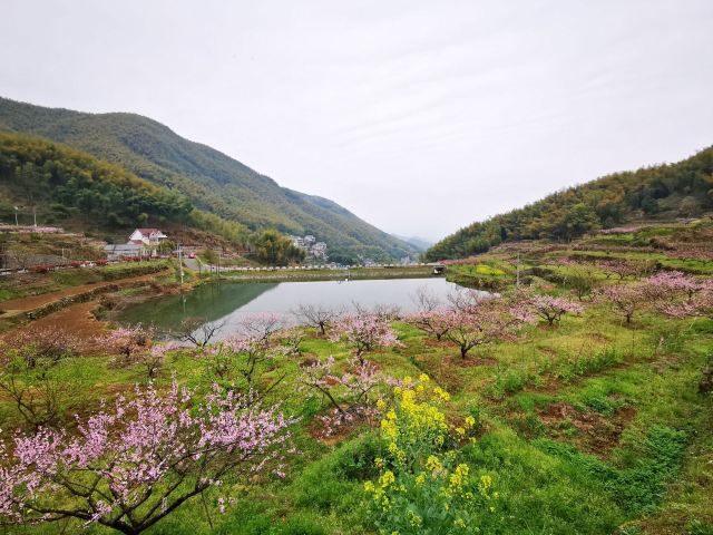 富阳区半山村攻略,富阳区半山村门票/游玩攻略/地址/图片/门票价格