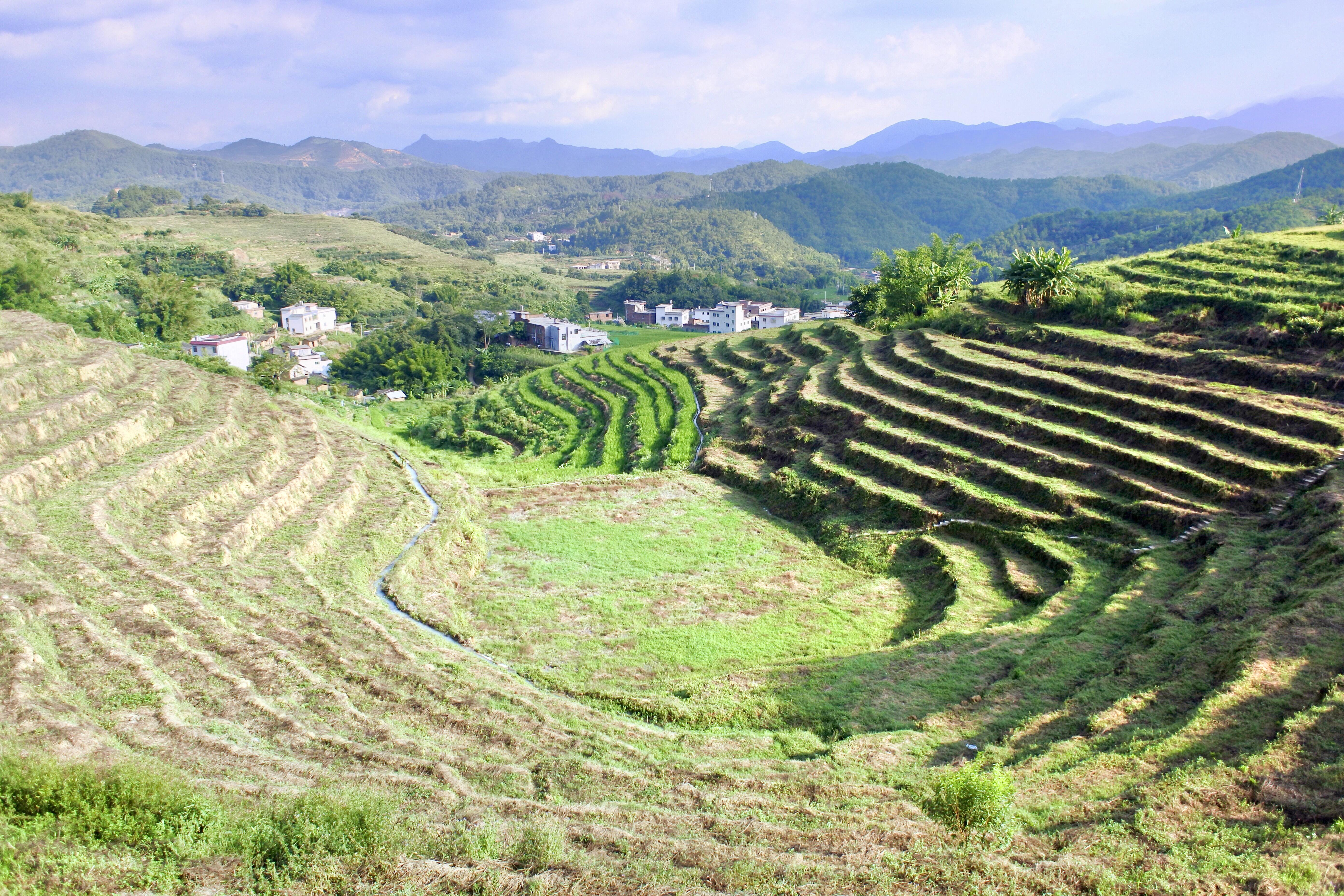 坪山梯田旅游区