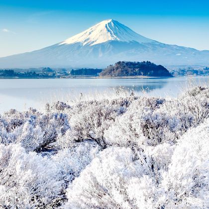 日本东京富士山+河口湖香草馆+大池公园一日游