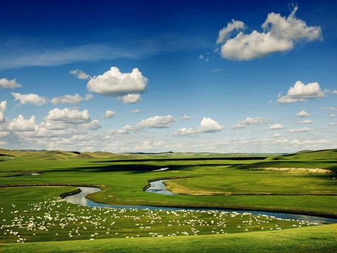 五彩斑斓地——内蒙古呼伦贝尔大草原