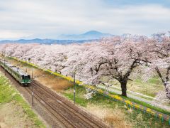 初次打卡必体验,日本全景7日游