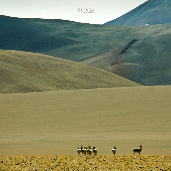 100w0i000000972fi3B57_R_800_10000_Q90.jpg?proc=autoorient