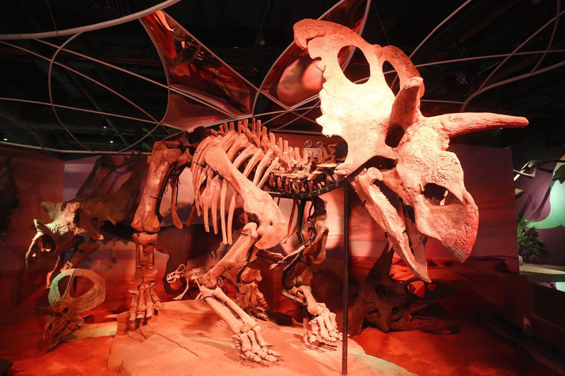 最新网红打卡地!超惊艳的银河隧道~~来正佳一