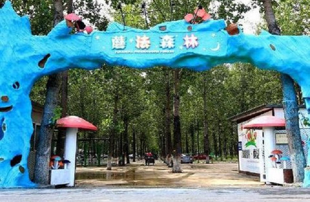 北京童趣蘑法森林