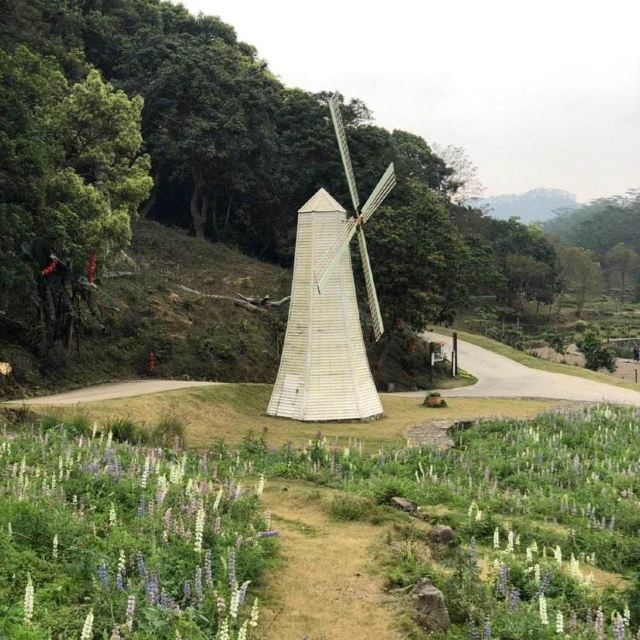 賓縣二龍山旅遊風景區攻略,賓縣二龍山旅遊風景區門票/遊玩攻略/地址